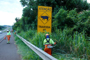 EPR Paraná realiza serviços em rodovias do Lote 4 nesta terça-feira (31)