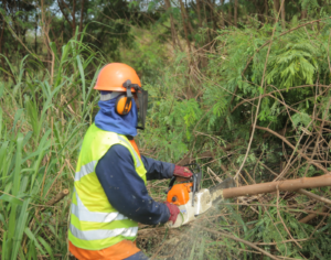 EPR Paraná realiza serviços em rodovias do Lote 4 nesta quarta-feira (15)