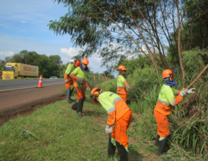 EPR Paraná avança na modernização da malha viária do Lote 4 com obras em diversos pontos nesta quinta (23)