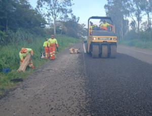 Confira o cronograma de obras nas rodovias da EPR Paraná para esta sexta-feira (24)
