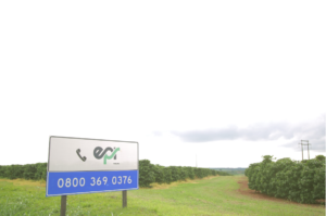 Cultivando Caminhos: EPR Paraná orienta produtores sobre regularização do plantio