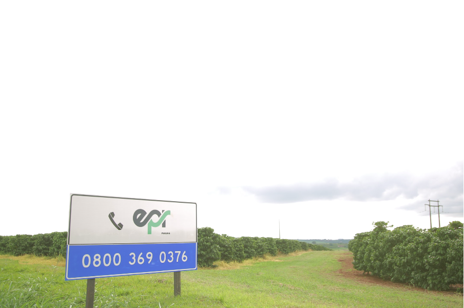 Cultivando Caminhos: EPR Paraná orienta produtores sobre regularização do plantio