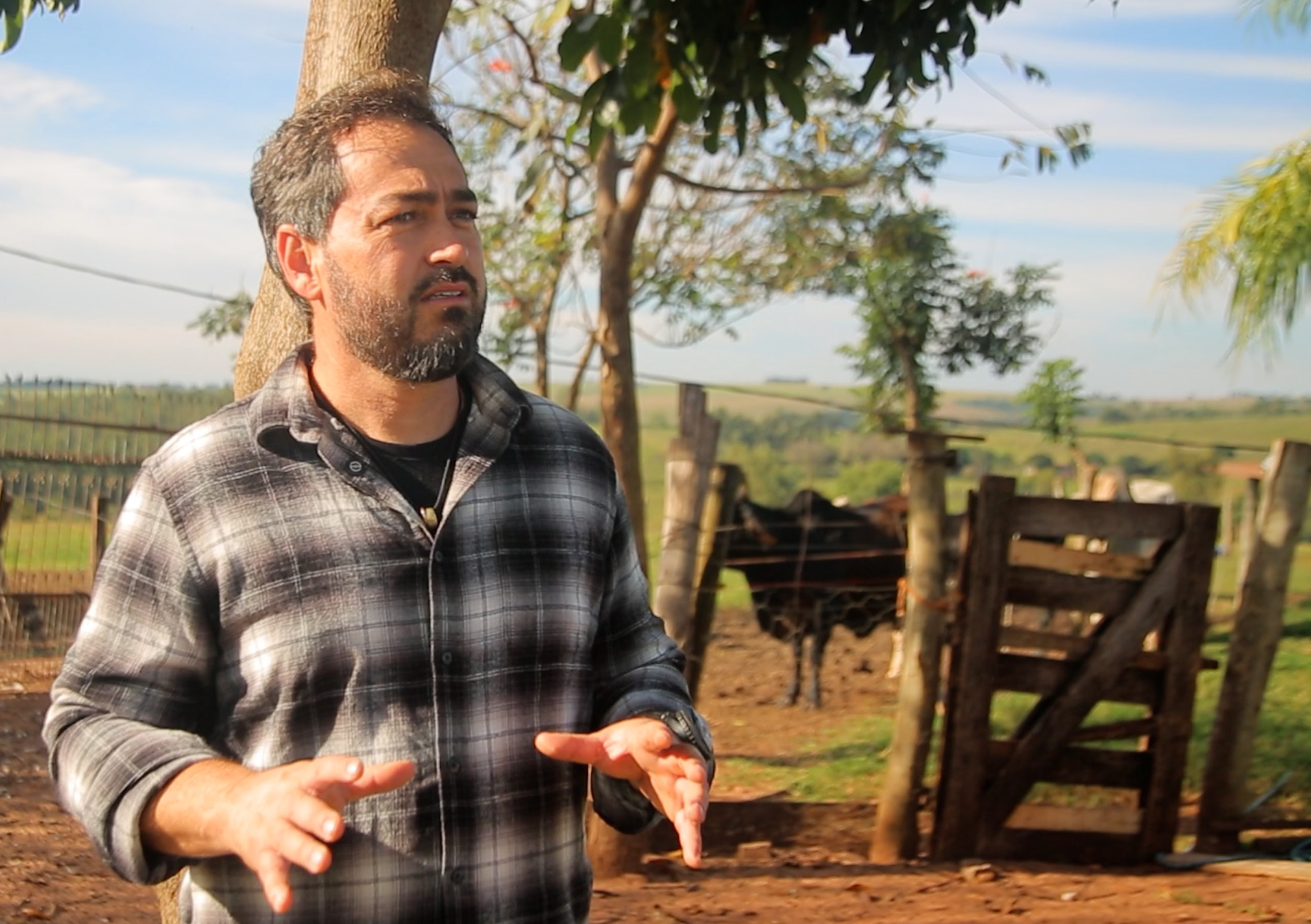 Com desconto para usuário frequente, família de produtores rurais economiza no pedágio e otimiza orçamento