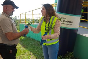 Com foco na conscientização ambiental, EPR Paraná distribui mudas nativas em celebração ao Dia da Árvore