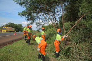 EPR Paraná reforça frentes de obras e manutenção nas rodovias sob concessão nesta quarta-feira (7)